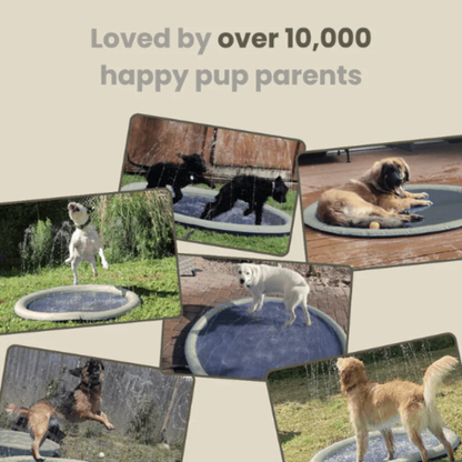 zoila™ Sprinkler Pad